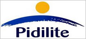 pidilite1.jpg